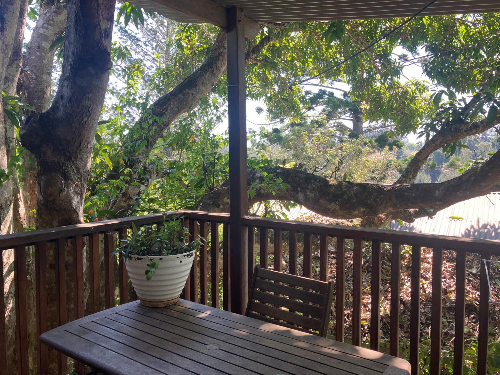 Potters Cottage เบลลิงเกน ภายนอก รูปภาพ